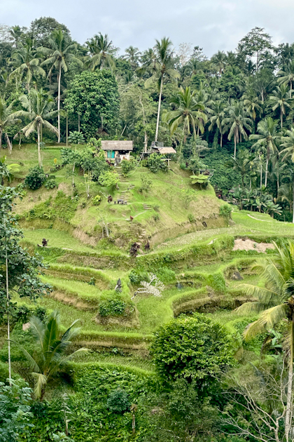 Rund um Ubud 110