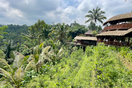 Rund um Ubud 22