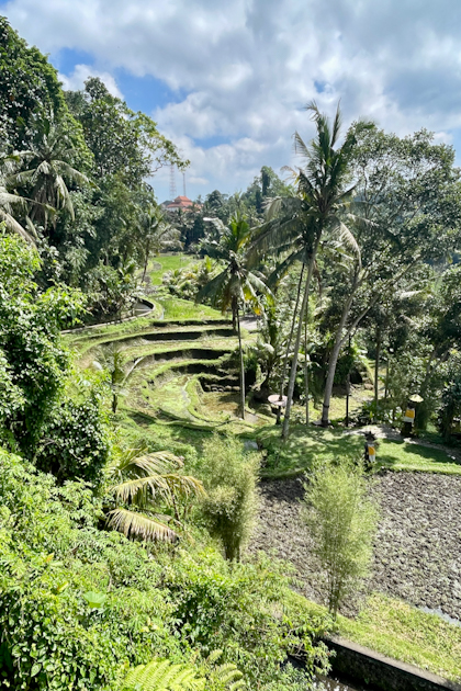 Rund um Ubud 49