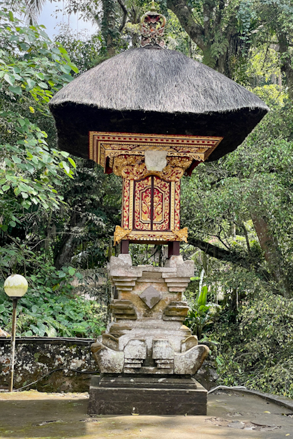 Rund um Ubud 54
