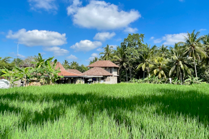 Ubud 14
