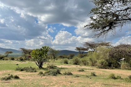 Masai Mara 57