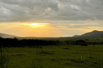 Safari Masai Mara 099