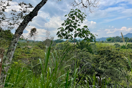 San Agustin 36