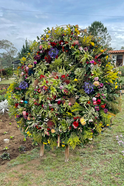 Santa Elena 18