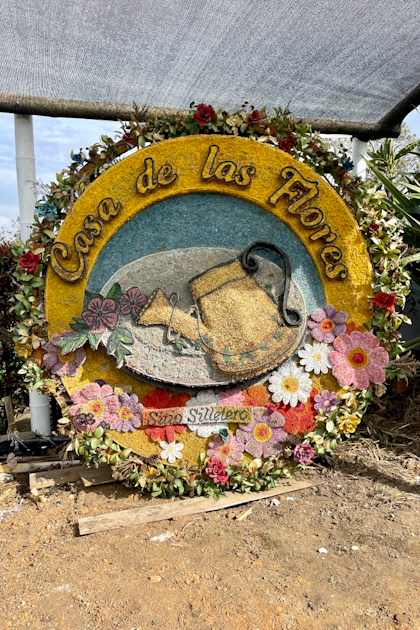Santa Elena 23