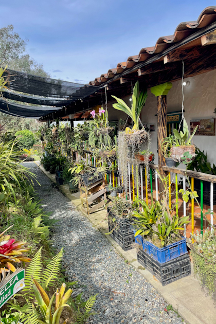Santa Elena 30