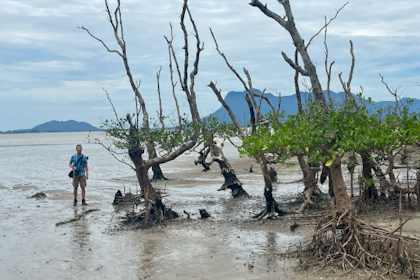 Bako Nationalpark 13