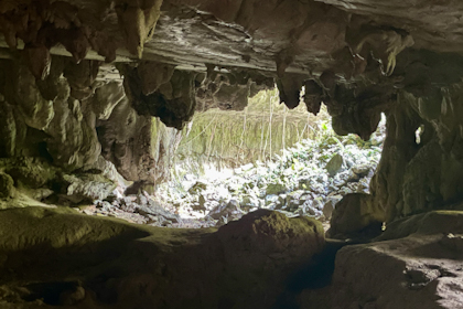 Mulu Nationalpark 08