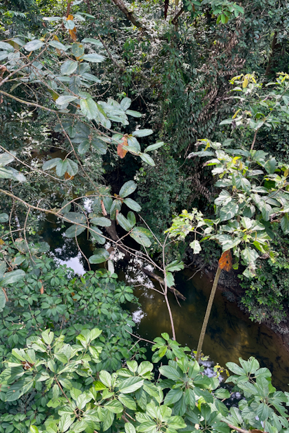 Mulu Nationalpark 148