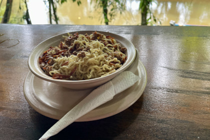 Mulu Nationalpark 160