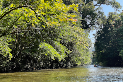 Mulu Nationalpark 26