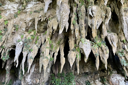 Mulu Nationalpark 35