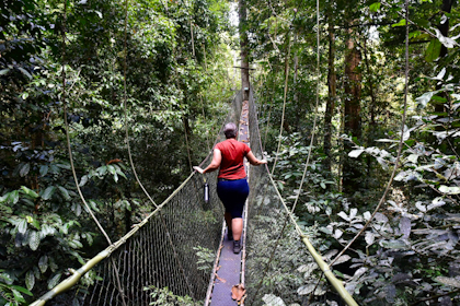 Mulu Nationalpark 73