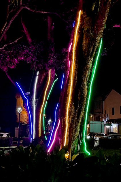 Orang Utans Semenggoh 60