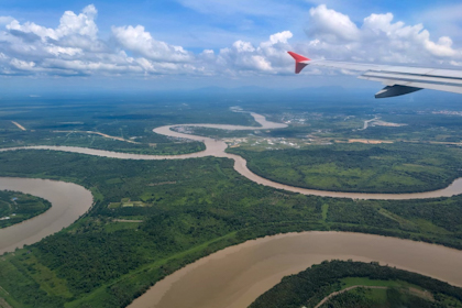 Permai Rainforest 32