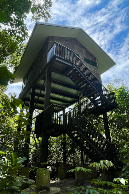 Permai Rainforest 84