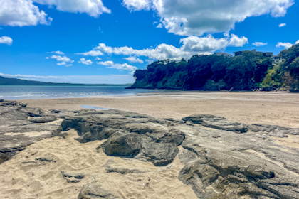 Auckland 13