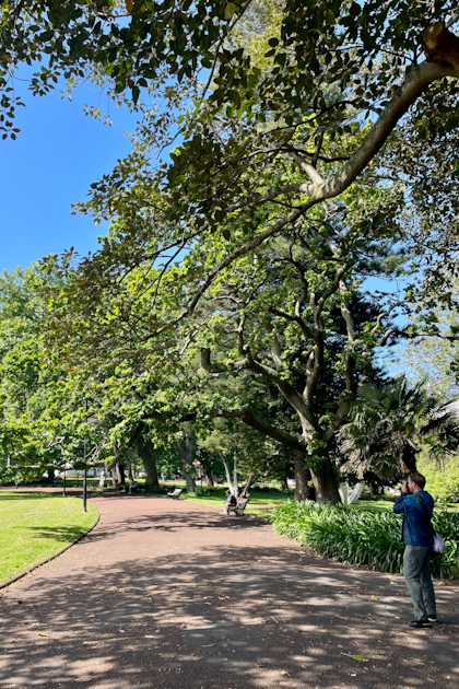 Auckland 162