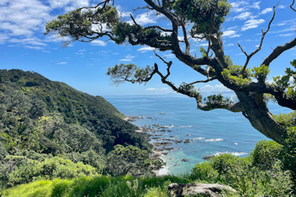 Mangawhai 22