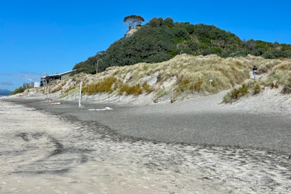 Mangawhai 42