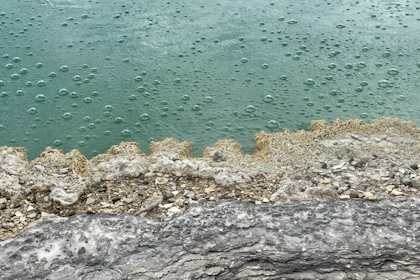 Rotorua 26