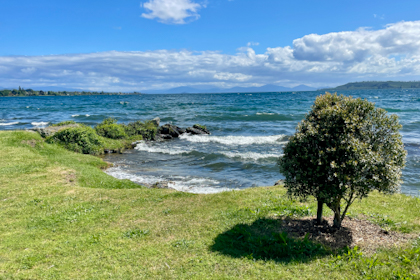 Taupo 18