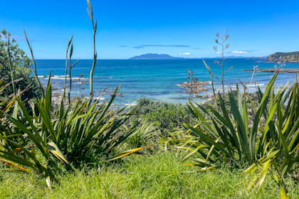 Tawharanui Regional Park 17