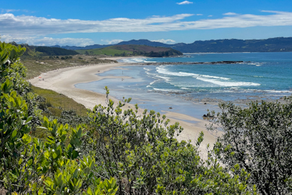 Tawharanui Regional Park 20