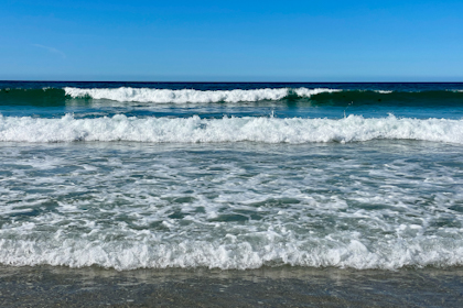 Tawharanui Regional Park 49