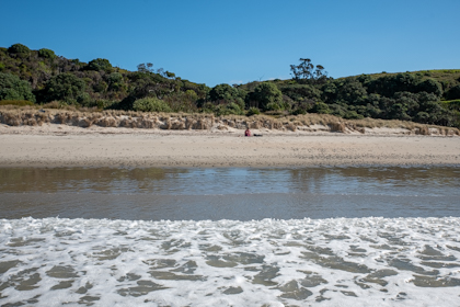 Tawharanui Regional Park 52