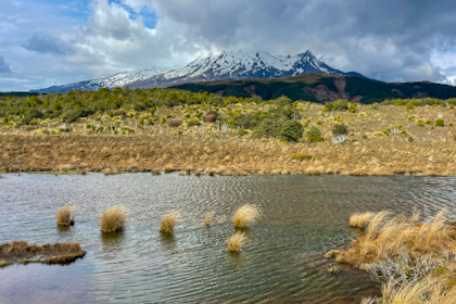 Tongariro 12