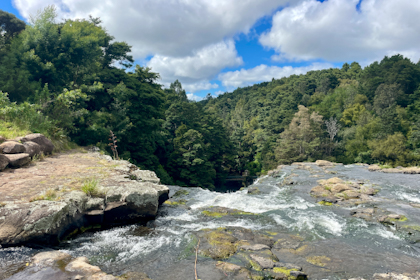 Whangarei 01