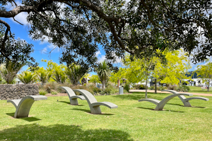 Whangarei 21