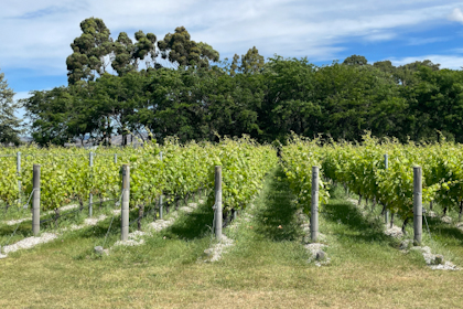 Blenheim Marlborough 40