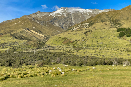 Mount Cook 03