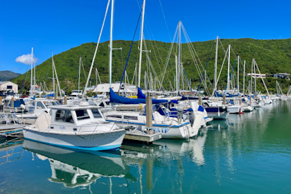 Picton Marlborough Sounds 11
