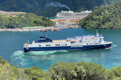 Picton Marlborough Sounds 18