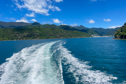 Picton Marlborough Sounds 31