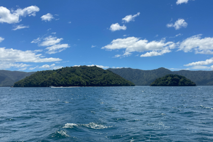 Picton Marlborough Sounds 33