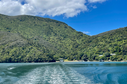 Picton Marlborough Sounds 38