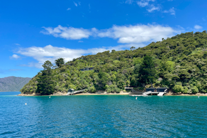 Picton Marlborough Sounds 46