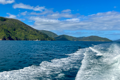 Picton Marlborough Sounds 53