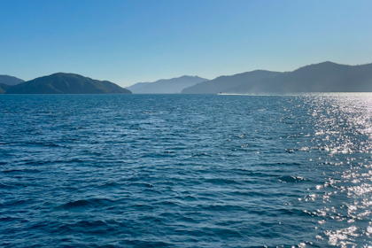 Picton Marlborough Sounds 60