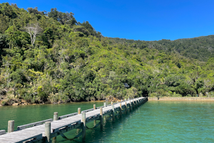 Picton Marlborough Sounds 73