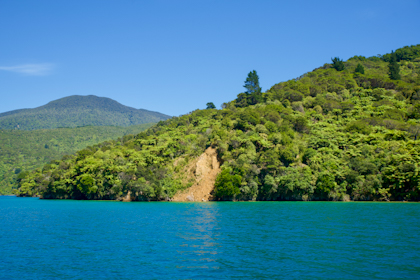 Picton Marlborough Sounds 78