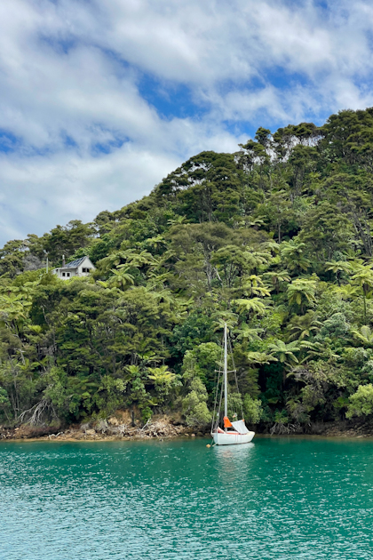 Picton Marlborough Sounds 93