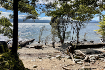 Te Anau 17