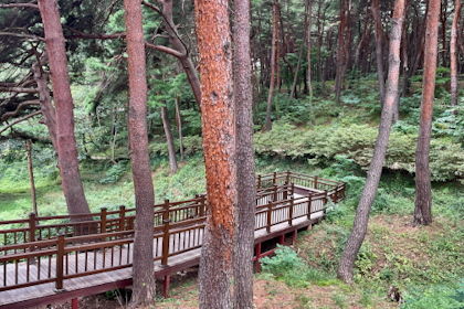 Sokcho 21