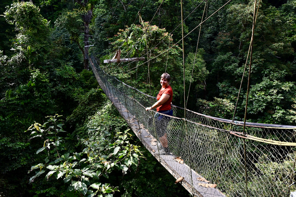 Hängebrücke im Mulu Nationalpark in Sarawak auf Borneo